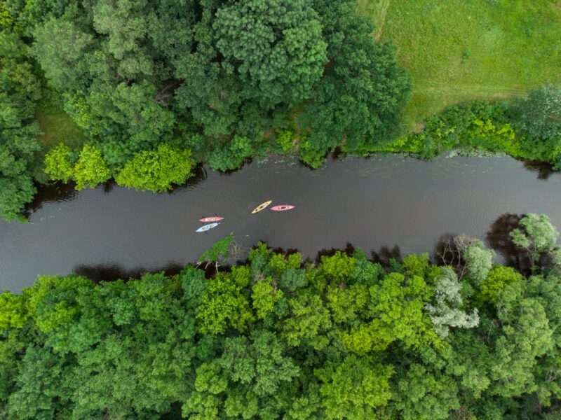 Come Discover the Beauty and Charm of Noel, Missouri: From Self-Guided Float Trips to Outdoor Adventures
